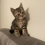 Madison Hoffman - Facebook