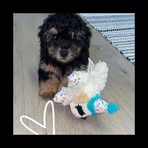 Madison Ingram - Facebook