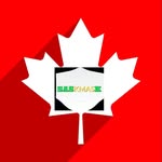 maddison lang - @saskmask2020 - Instagram