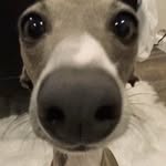 Maddi - @maddison_lopez_33 - Instagram