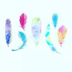 maddison-loves pets - @maddisonmarks3452 - Instagram