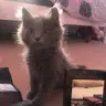 Maddison May - @maddisonmay0 - TikTok