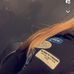 Madison Murray - Facebook