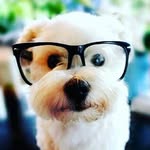 maddison - @maddison_ramirez_ - Instagram