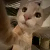 maddisonrichards68 - @maddisonrichards68 - TikTok