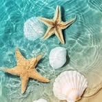 Maddison Saunders - Facebook