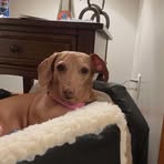 Madison Schmidt - Facebook