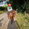 Maddison shaw - @maddison.shaw6 - TikTok