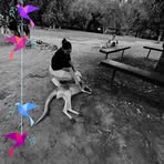 Maddison Simpson - Facebook