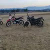 Madison.Solomon - @u29a9097rvg - TikTok