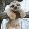 maddison.sullivan - @maddison.sullivan - TikTok