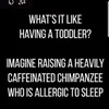 maddison thomson - @thomm6002 - TikTok