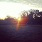 maddison woods - @mj_132465 - Instagram