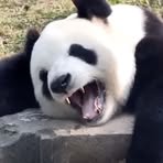 Maddison Yang - Facebook