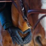 Maddy & Allison - @two__equestrians - Instagram