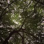 Maddy Bartlett - @wildbristol - Instagram