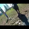 Horse girl - @maddybee6 - TikTok