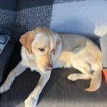 MADDY BOOTH TATTI - @maddy_booth_tatti_ - Instagram