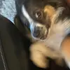 maddybowles - @maddybowles - TikTok