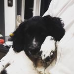 Madeleine Bowles - @maddybow8 - Instagram