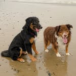 Maddy Boyle - @kenu.and.suki - Instagram