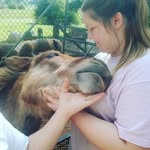 maddy Crowley - @maddygirl4085 - Instagram