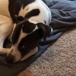 Maddy Dougherty - @sally_mar_dougherty_ - Instagram