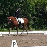 Maddy - @maddyrothfeld - Instagram