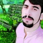 Shahid Khan - @madeeha.anwar.5095 - Instagram