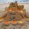 drmadeehasaeed - @drmadeehasaeed - TikTok