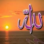 Madeha Ali - @madiha_alzwai - Instagram