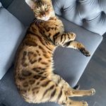 Madeleine Baker - @madeleinebaker65 - Instagram