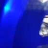 madeleinebarton1994 - @dat98u - TikTok