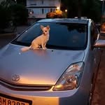 Madeleine Becker - @madeleine.becker19 - Instagram