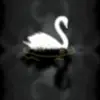 MadeleineRosebloom - @madeleinerosebloom - TikTok