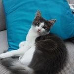 Madeleine Carson - @madzcarson - Instagram