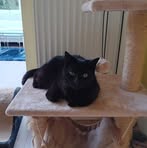 Madeleine Carson - Facebook