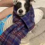 Madeleine Collins - Facebook