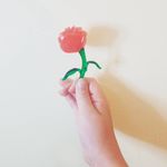 Madeleine Cook - @madeleinetcook - Instagram