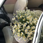 Madeleine Dowd - @leahadams88115m - Instagram