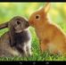 Madeleine Egan - Facebook