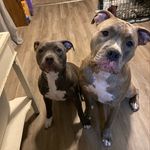 Madeline Egan - @wrigley_royal - Instagram