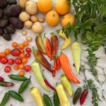 Madeleine Gilbert - @mfarmandkitchen - Instagram