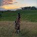 Madeleine Helm - Facebook