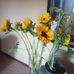 Madeleine Hendricks - Facebook