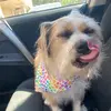 Madeline Holmes - @mcholmes12 - TikTok