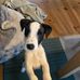Madeleine Kaiser - Facebook