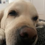 Madeline Kramer - @diary_of_an_insomniass - Instagram