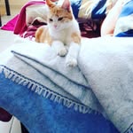 Madeleine Lambert - @madeleinelambert655 - Instagram