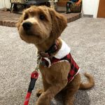 Madeline Mcbride - @mcbride.madeline - Instagram